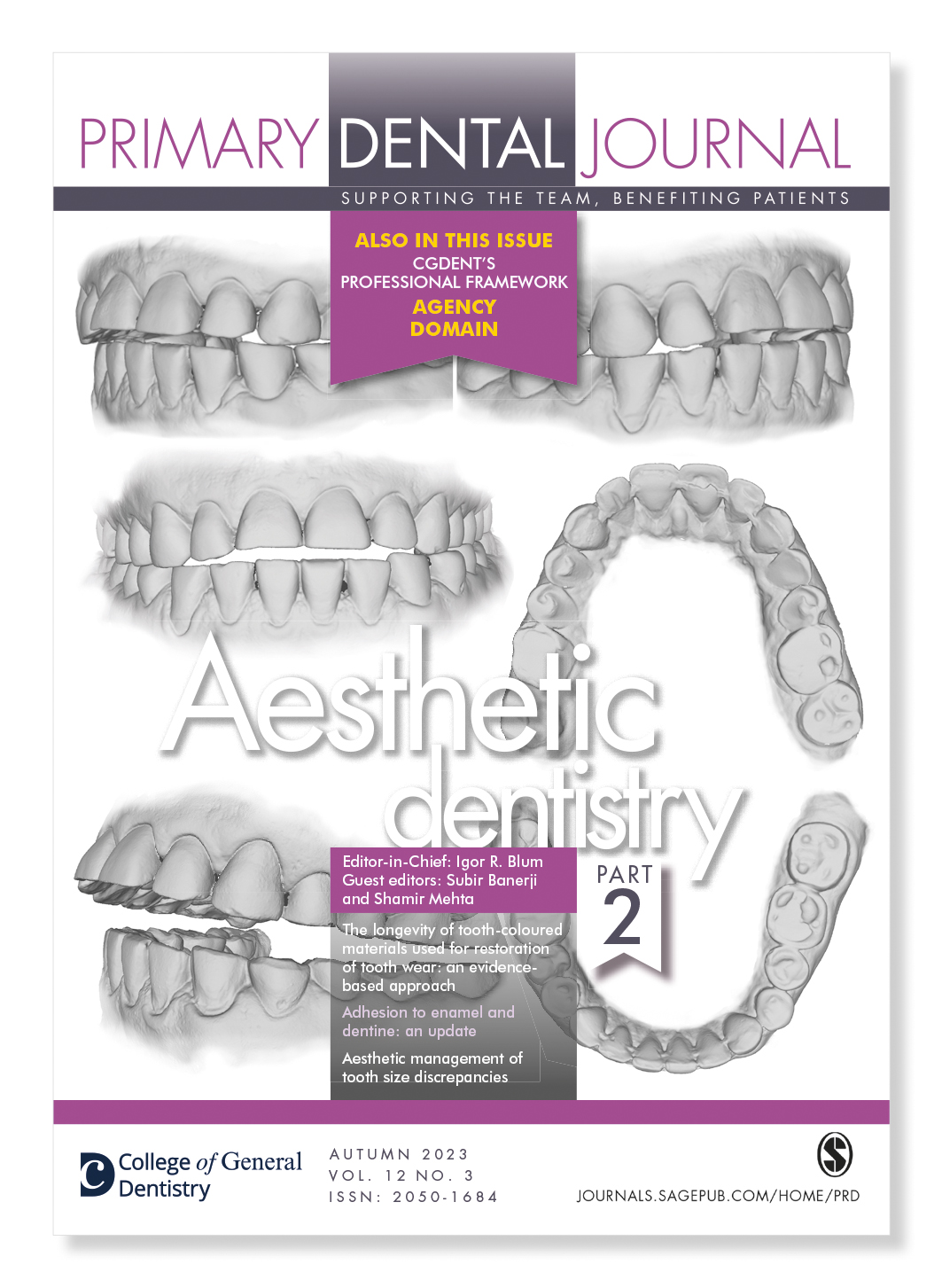 New PDJ online: Aesthetic dentistry, part 2